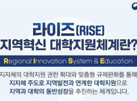 부정사례 무더기 적발된 RIS사업, RISE는 다를 수 있을까